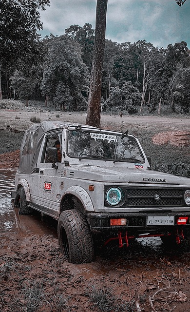 灵活的战术 灵活的战术