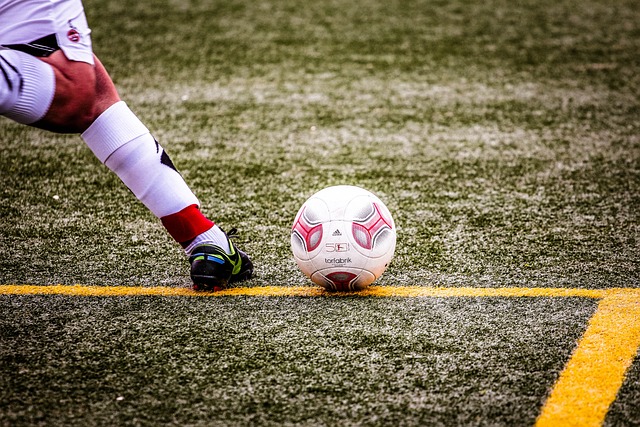 由于郑钦文 由于郑钦文